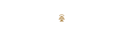 The Leverage Guy